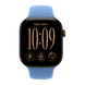 Apple Watch Series 12 GPS 46mm Dark Bronze Aluminum Case with Wildflower Blue Sport Band (M/L) 12 46mm Dark Bronze Wildflower Blue Sport Band (M/L) фото 3