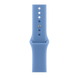 Apple Watch Series 12 GPS 46mm Dark Bronze Aluminum Case with Wildflower Blue Sport Band (M/L) 12 46mm Dark Bronze Wildflower Blue Sport Band (M/L) фото 2